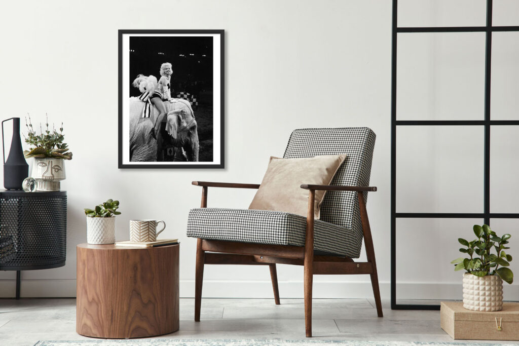 modeles-de-fauteuil-scandinave