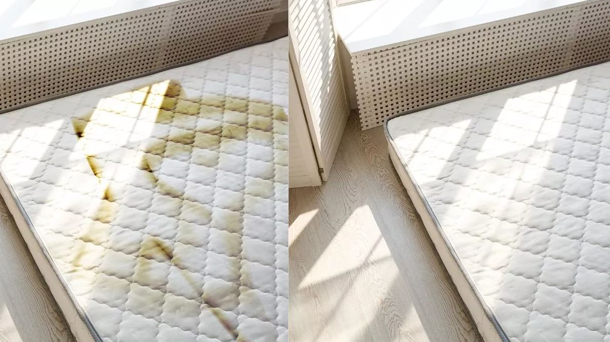 enlever les moisissure matelas