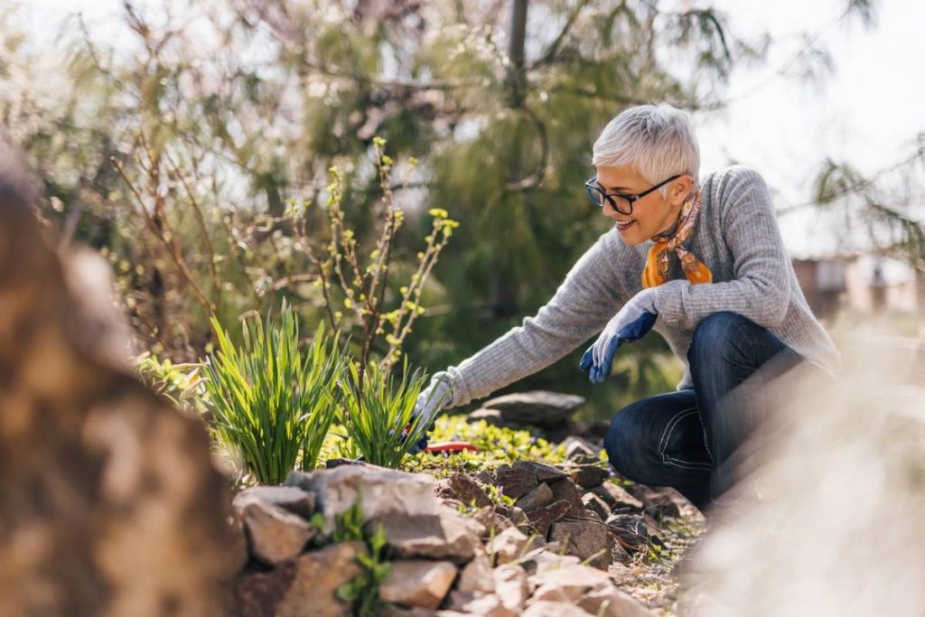 Prendre soin de son jardin en pleine chaleur