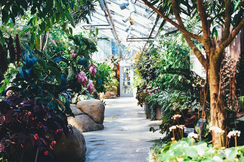 Prendre soin jardin en pleine chaleur