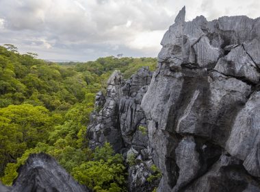 parc national madagascar